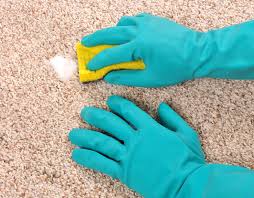 Carpet Cleaner in Abingdon